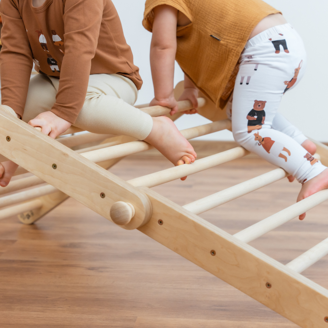 MOFI - Add-on growing segment for SIPITRI and MOPITRI® - VentureKids