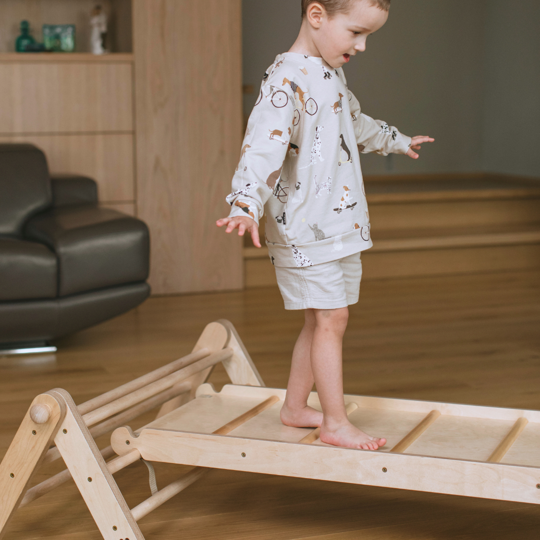 MOPITRI® 4-segment Modifiable Climbing Triangle With a Sliding/Climbing Ramp - VentureKids