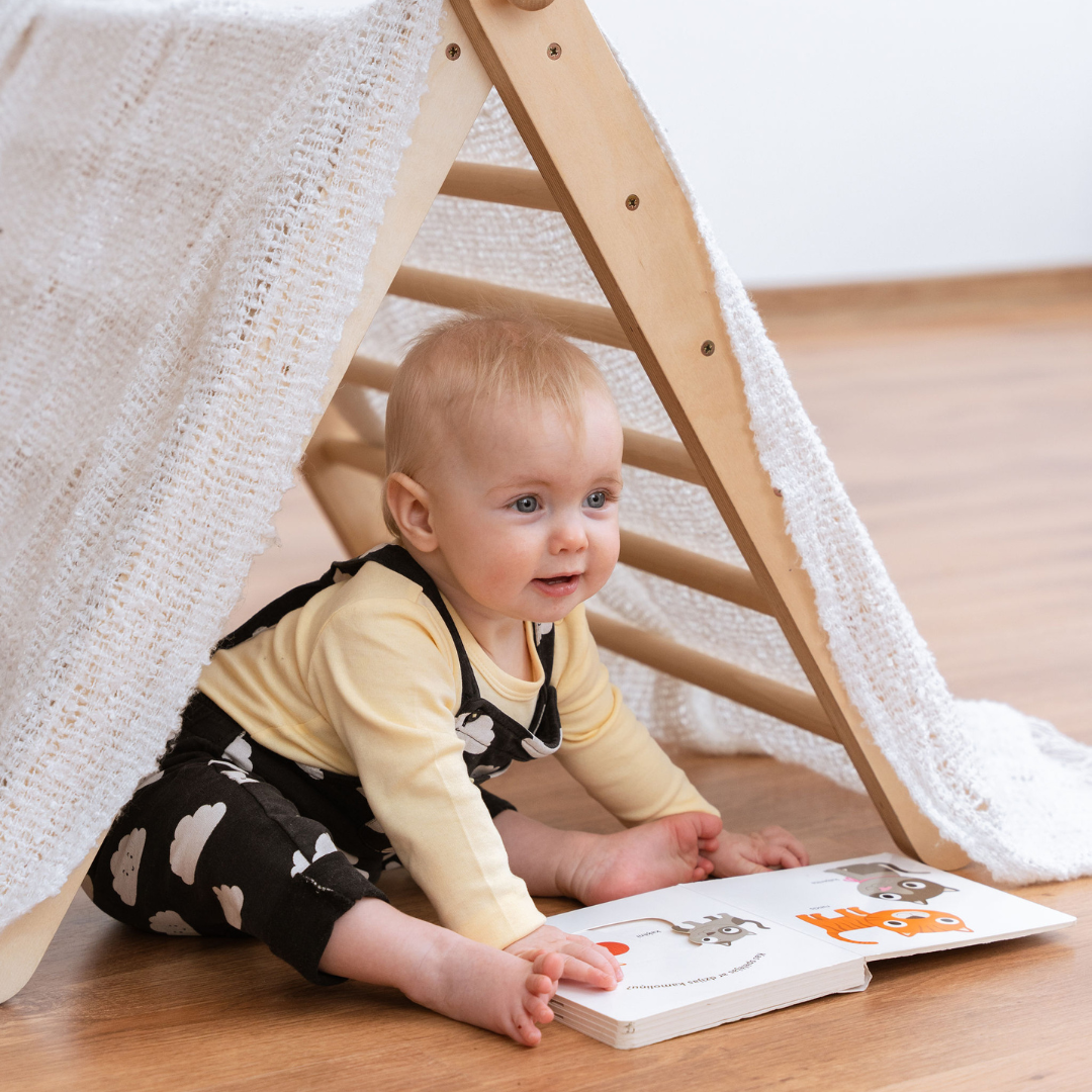 SIPITRI® 2 Segment Climbing Triangle - VentureKids