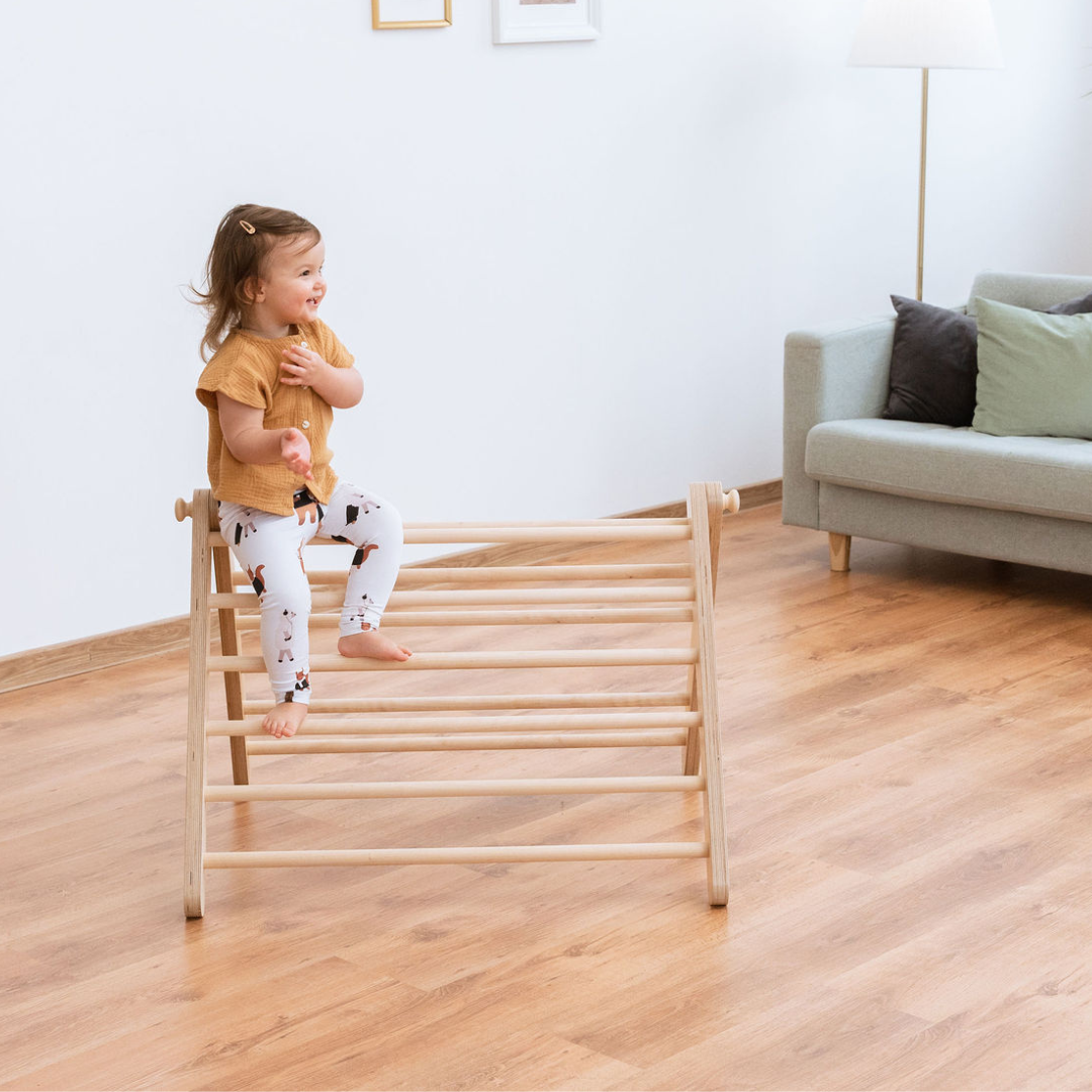 SIPITRI® 2 Segment Climbing Triangle - VentureKids