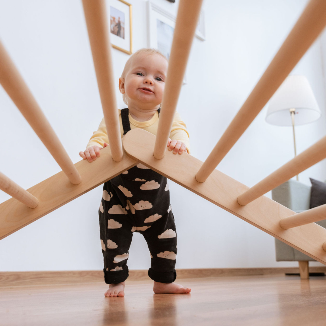 SIPITRI® 2 Segment Climbing Triangle - VentureKids