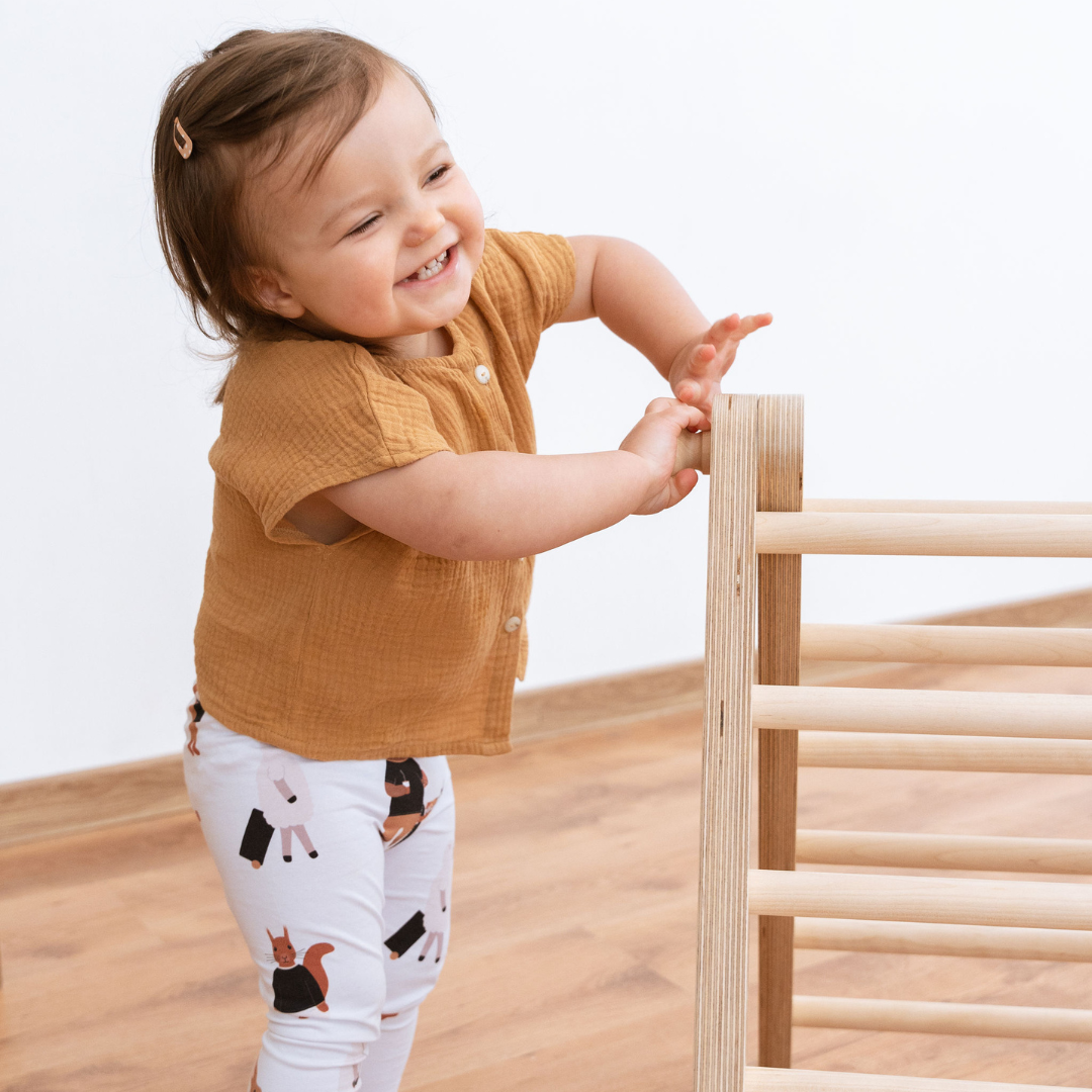 SIPITRI® 2 Segment Climbing Triangle - VentureKids