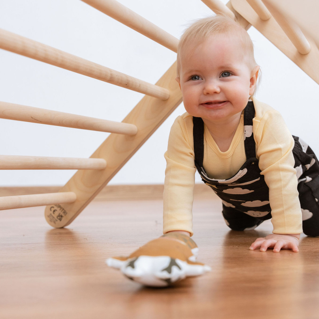 SIPITRI® 2 Segment Climbing Triangle - VentureKids