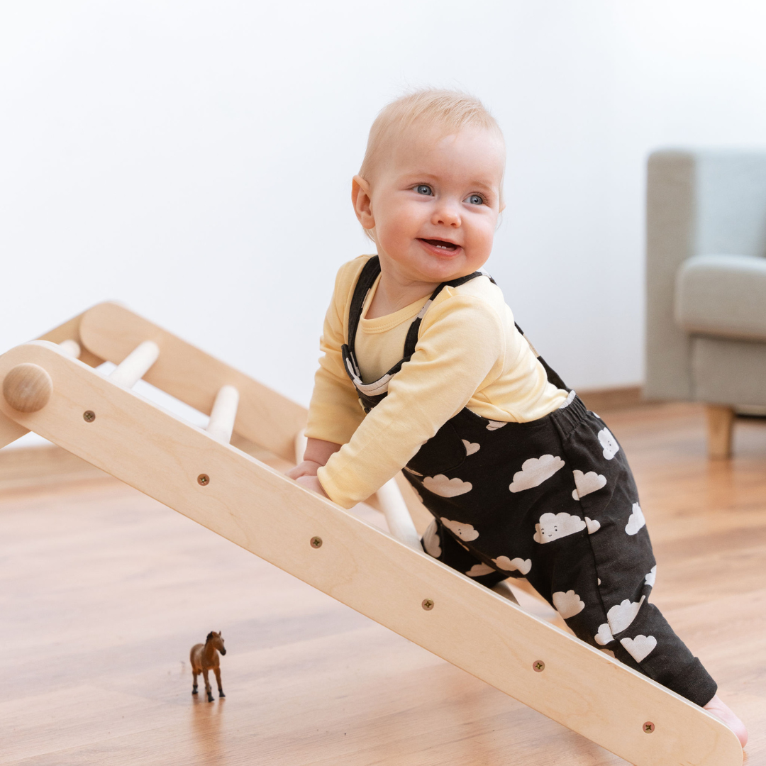 SIPITRI® 2 Segment Climbing Triangle - VentureKids