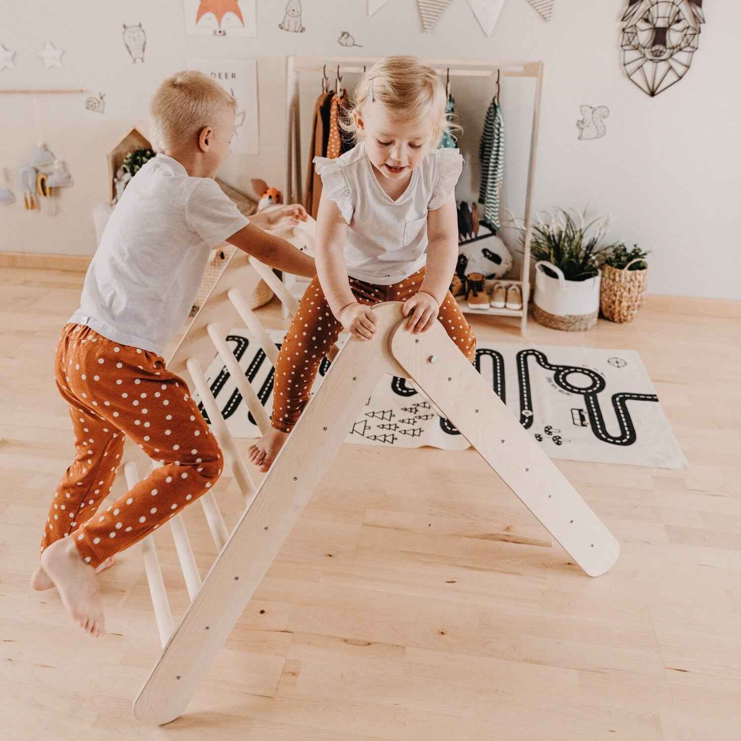 Montessori Climbing Triangle