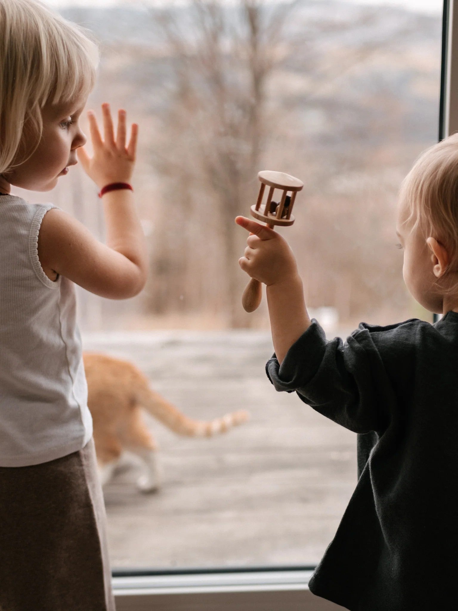 Wooden Rattle - Nighthawk - VentureKids